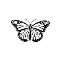 Elegant black and white monarch butterfly illustration with detaileds vector