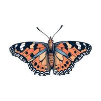 Vibrant painted lady butterfly illustration with intricate wing patterns vector