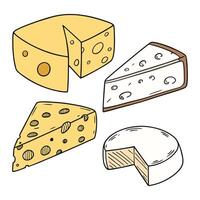 Gourmet Cheese Sketch Collection design vector