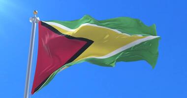 Flag of Guyana waving at wind in slow in blue sky, loop video