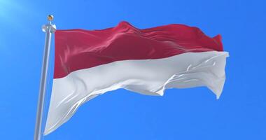 Flag of Indonesia waving at wind in slow in blue sky, loop video