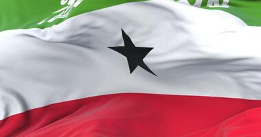 Somaliland flag waving at wind in slow in blue sky, loop video
