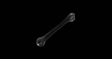 Hologram representation screen 3d of humerus bone in the human body - loop video