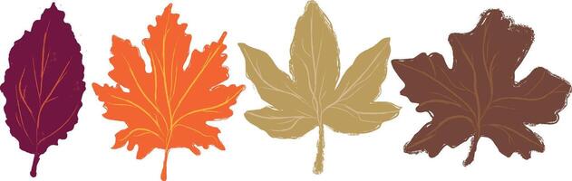 Handdrawn Retro Leaves with Pencil Texture and Grunge Overlay in warm Autumn Palette, perfect for Thanksgiving and Fall Decor. illustration vector