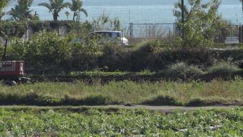 Malaga, Spain, 2019 - Farm tractor and farmer with a yoke of oxen plowing a field video