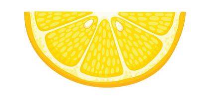 Close up of a lemon slice revealing its vibrant yellow color, textured pulp, and segments, conveying a sense of freshness and citrusy aroma vector