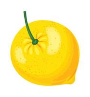 Vibrant yellow lemon with attached green stem, showcasing its freshness and ripeness, perfect for adding a zesty touch to culinary creations or beverages vector
