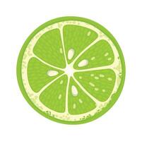 Vibrant lime slice displaying detailed texture, segments, juice, and seeds, ideal for food and beverage illustrations, recipe books, and healthy eating promotions vector