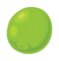 Close up of a whole lime, highlighting its vibrant green color, textured skin, and characteristic dimples, creating a visually appealing representation of this citrus fruit vector