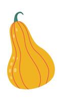 Ripe butternut squash featuring a vibrant orange skin adorned with vertical stripes and a fresh green stem, isolated against a clean white background in a detailed illustration vector