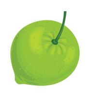 Lime fruit with stem, displaying its vibrant green color, textured skin, and overall freshness, perfect for various culinary and visual applications vector