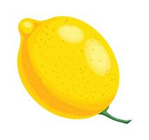 Juicy and vibrant, a whole lemon with its bright yellow rind and attached green stem captures the essence of fresh citrus, promising an explosion of tart flavor and refreshing aroma vector