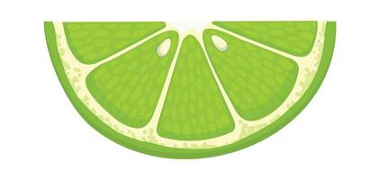 Lime wedge featuring vibrant green color and intricate details of pulp and peel, creating a refreshing visual ideal for food and beverage projects, enhancing any design vector