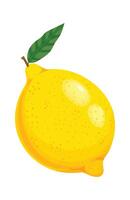 Freshly picked lemon with a single leaf attached, showcasing its vibrant yellow color and textured skin, perfect for adding a burst of flavor and freshness vector