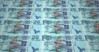 Banknotes of twenty fijian dollars of Fiji rolling, cash money, loop video