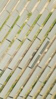 Aerial top down view of modern solar panel array in caucasus highlighting renewable energy production and sustainable development. Europe innovation climate action transition to clean technology video