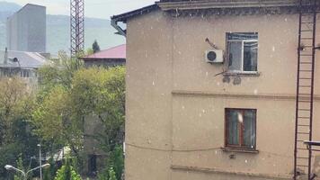 Unusual snowfall or icy precipitation falling from sky warm late spring day, capturing surreal winter and spring. Powerful visual metaphor changing seasons, climate unpredictability, global warming video