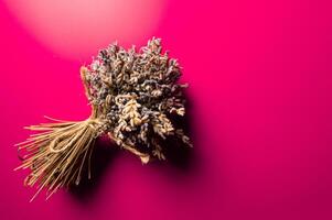 Bouquets of lavender flowers on a pink background. Bouquet of lavender tied with twine top view with space for text. Banner concept for advertising photo