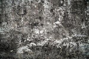 Abstract background, White that is peeling and fungi on concrete wall. photo