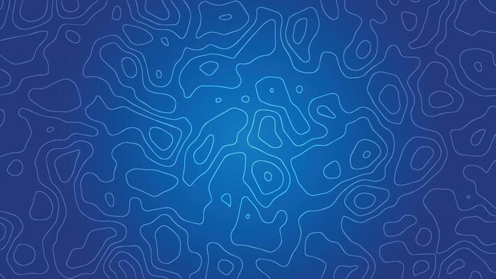 Blue and White Contour Lines Background
