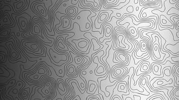 Luxurious Silver Contour Lines Texture vector