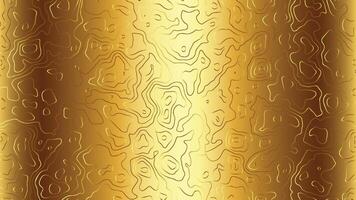 Metallic Gold Topography Line Pattern vector