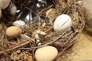 A Beautiful Nest with a Varied Collection of Colorful Eggs and Natural Decorative Elements photo