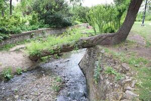 A Serene Stream flows gently alongside an Overhanging Tree in a beautiful Tranquil Park setting photo