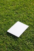Mockup blank on green grass background photo