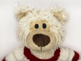 A stuffed teddy bear with a red and white striped sweater on a white background, flay lay photo