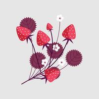 Delightful strawberry plants display their vibrant red berries and charming white blossoms against a light background. vector