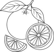 Orange fruit with leaves and slices citrus leaf vector