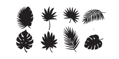 Leaf Set Black Botanical Silhouettes Collection vector