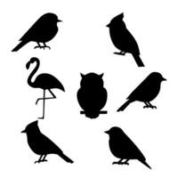 Set of bird silhouettes including cardinal, owl, flamingo, and small birds. collection for nature themes, wildlife icons, or educational illustrations vector