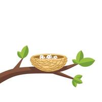 illustration of a birds nest with eggs resting on a tree branch. Suitable for spring, new life, nature, motherhood, and wildlife-themed designs vector