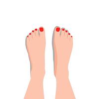 Top view of a pair of female feet standing, style. Ideal for foot care, spa, pedicure, barefoot illustrations, health, or posture-related graphics vector