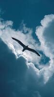 A Seagull in Flight Against a Dramatic Cloudy Sky. photo