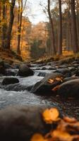 Serene Autumn Stream Flowing Through Forest Rocks. Fallen leaves rest on the smooth stones. photo