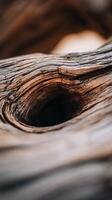 Abstract Close Up of Knotted Wood Grain, Natural Texture. photo