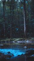 Enchanting Firefly Display Over Forest Stream at Night. A mesmerizing scene of bioluminescent fireflies illuminating a tranquil forest stream. photo