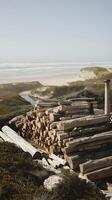 Coastal Log Pile with Ocean View A Rustic Scene of Driftwood and Seascape. photo