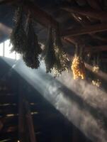 Sunbeams Illuminate Hanging Bundles of Dried Herbs in Rustic Attic. photo