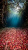Sunbeams Illuminate Underwater Scene with Red Leaves and Fish. photo