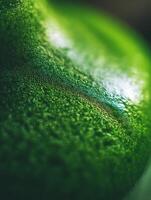 Abstract Green Texture Close Up of Dew Drops on a Lush Surface. photo
