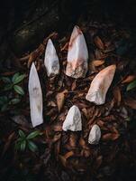 Abstract Stone Sculptures on Autumn Leaves. A high angle close up image of modern art. photo