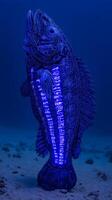 Artistic Rendering of a Fish with Ancient Glyphs, Underwater Scene. photo