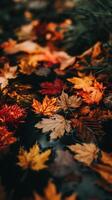 Autumn Leaves Floating on Water A Close Up of Nature's Fall Colors. photo