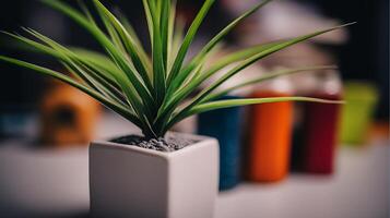 Close Up of a Green Plant in a White Pot with Blurred Background. photo