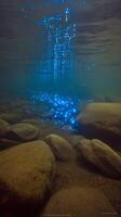 Underwater Scene of Bioluminescent Plankton Glowing in a Riverbed. photo