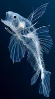 An ethereal deep sea creature, translucent fins and skeletal structure. photo